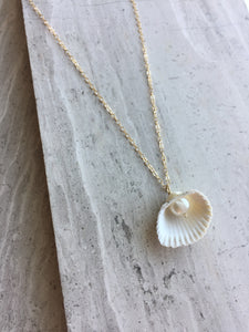 Galveston Shell with Pearl Necklace