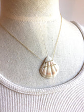 Hawaii Shell Necklace, white shell necklace