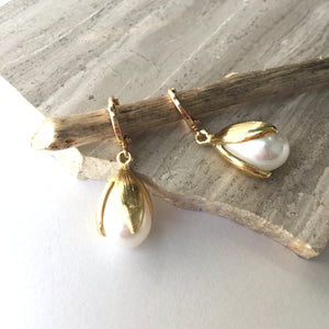 Pearl Tulip drop / Gold huggie lever back Earrings